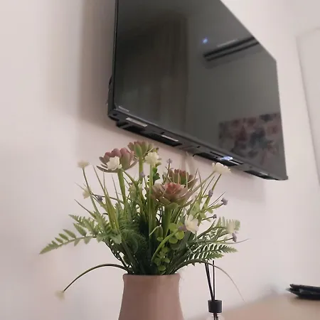 Apartament Arapietra *