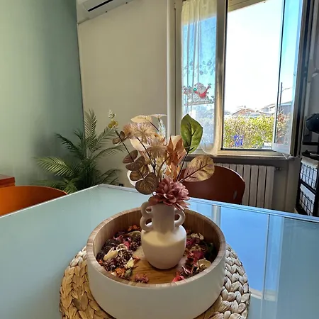 Apartament Arapietra